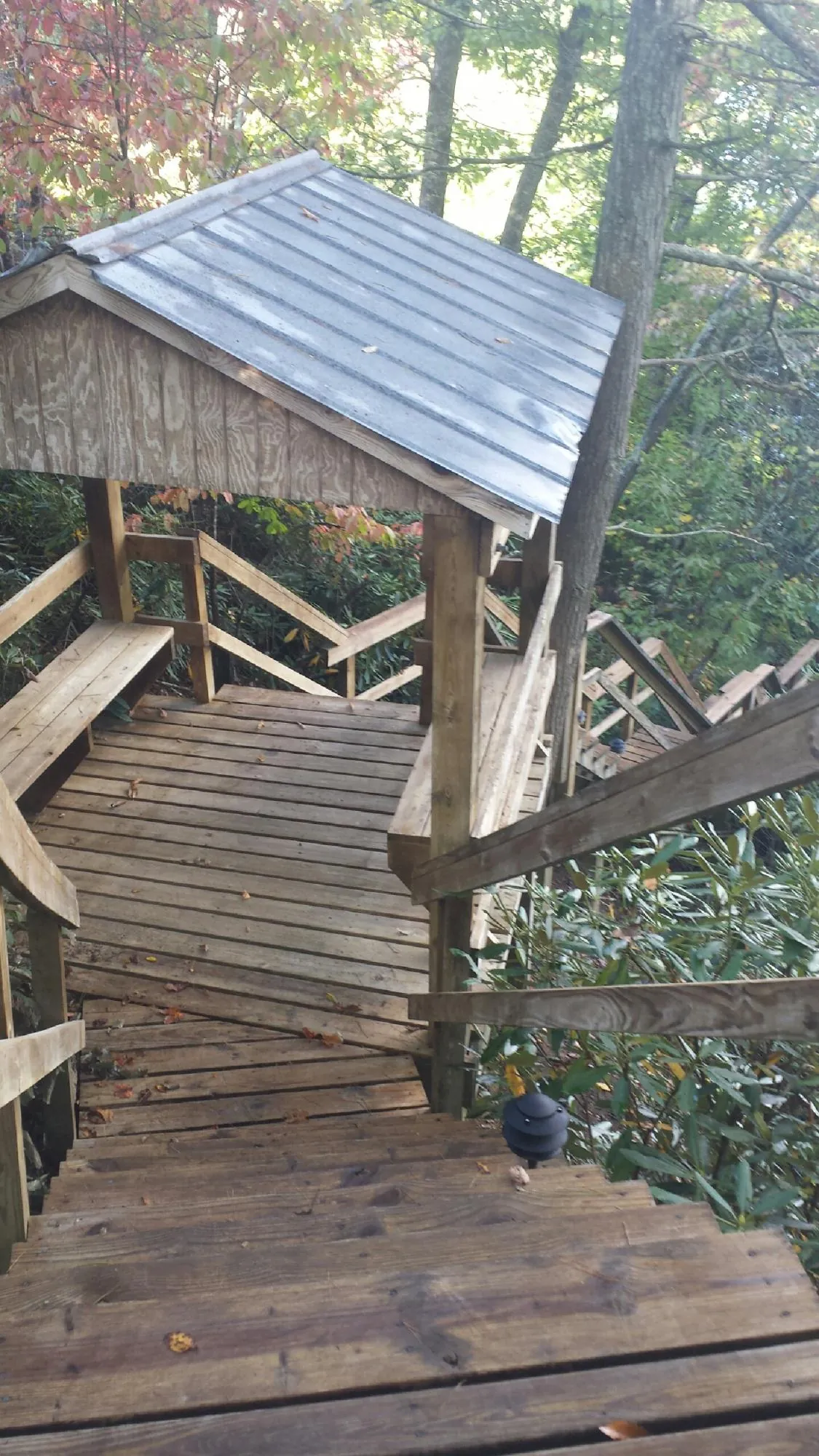 Metal roofed shelter over wooden steps on a wooded walkway — Skylight Repair & Installation work by our crew in Coal Creek