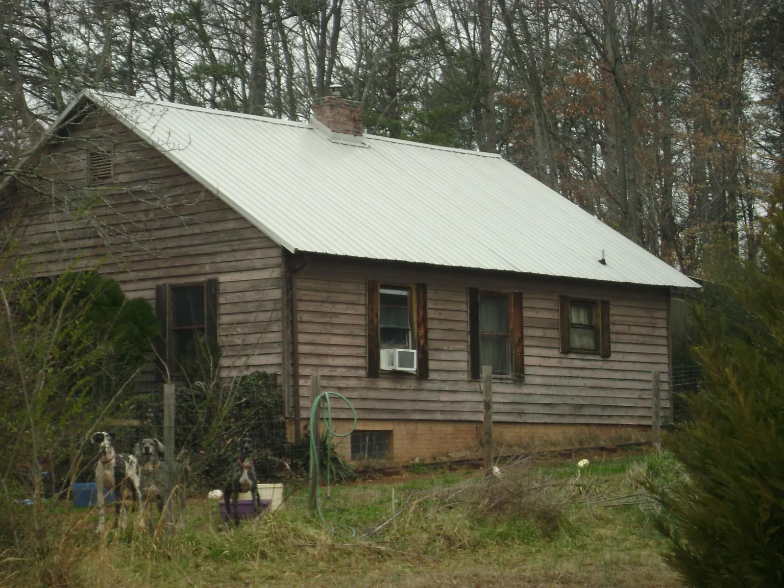 White metal roof on an old wood sided farmhouse, from a Metal Roof Installation job in Coal Creek